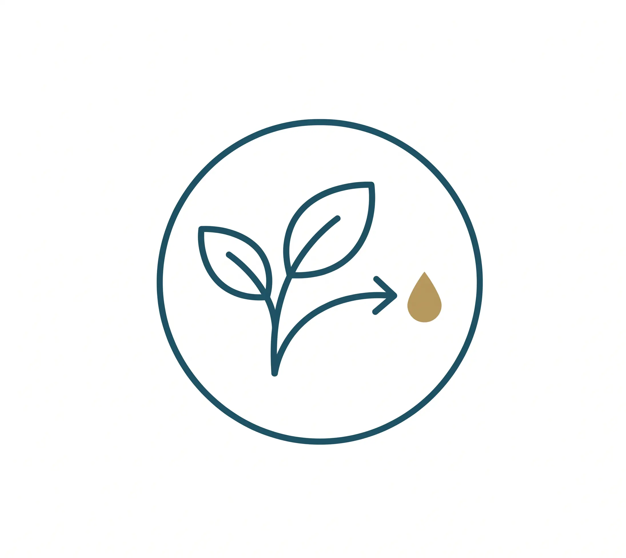 Plant & Mineral Derived